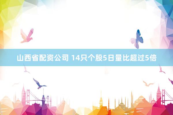 山西省配资公司 14只个股5日量比超过5倍