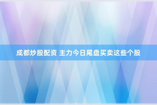 成都炒股配资 主力今日尾盘买卖这些个股