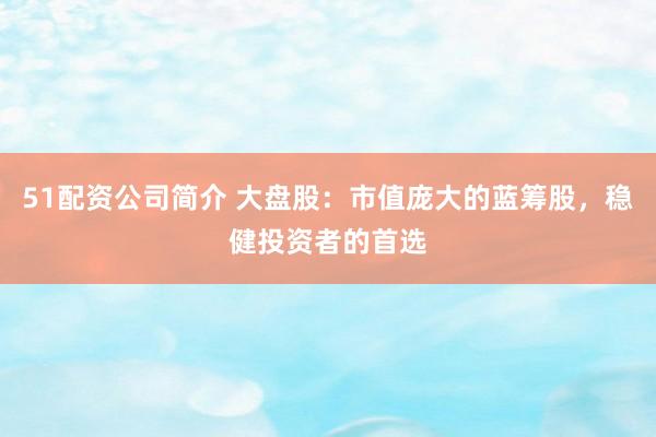 51配资公司简介 大盘股：市值庞大的蓝筹股，稳健投资者的首选