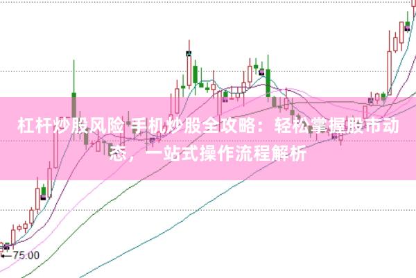 杠杆炒股风险 手机炒股全攻略：轻松掌握股市动态，一站式操作流程解析