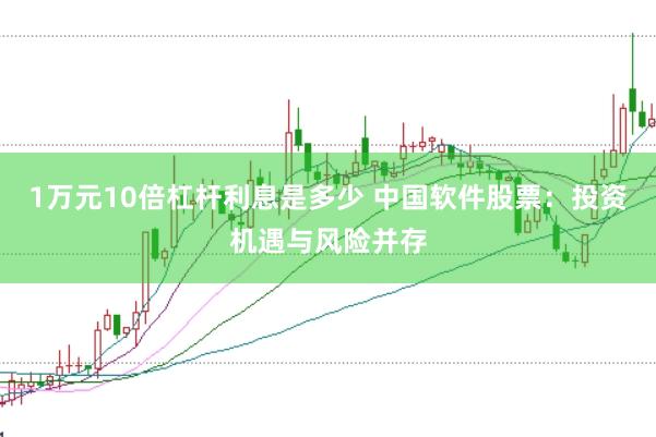 1万元10倍杠杆利息是多少 中国软件股票：投资机遇与风险并存