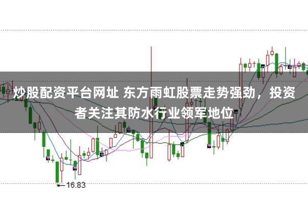 炒股配资平台网址 东方雨虹股票走势强劲，投资者关注其防水行业领军地位