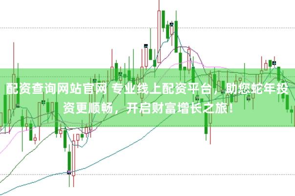 配资查询网站官网 专业线上配资平台，助您蛇年投资更顺畅，开启财富增长之旅！