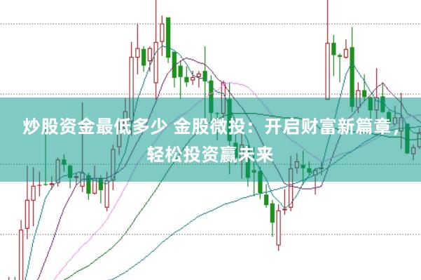 炒股资金最低多少 金股微投：开启财富新篇章，轻松投资赢未来