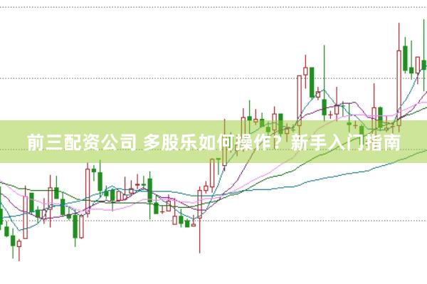 前三配资公司 多股乐如何操作？新手入门指南