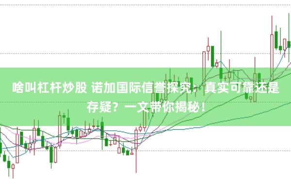 啥叫杠杆炒股 诺加国际信誉探究：真实可靠还是存疑？一文带你揭秘！