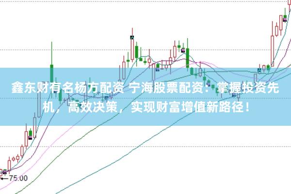 鑫东财有名杨方配资 宁海股票配资：掌握投资先机，高效决策，实现财富增值新路径！