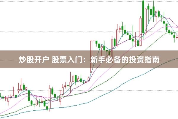 炒股开户 股票入门：新手必备的投资指南