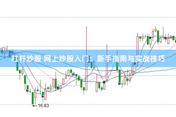 杠杆炒股 网上炒股入门：新手指南与实战技巧