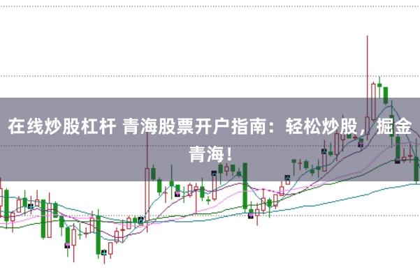 在线炒股杠杆 青海股票开户指南：轻松炒股，掘金青海！