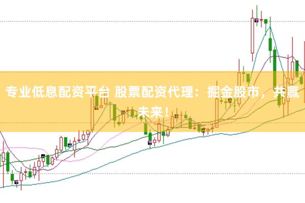 专业低息配资平台 股票配资代理：掘金股市，共赢未来！
