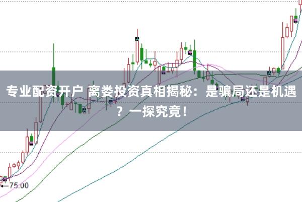 专业配资开户 离娄投资真相揭秘：是骗局还是机遇？一探究竟！