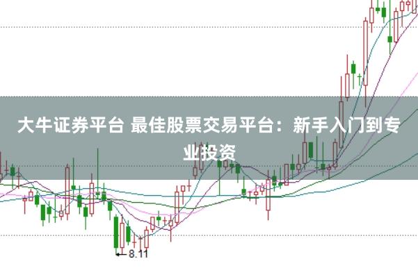 大牛证券平台 最佳股票交易平台：新手入门到专业投资