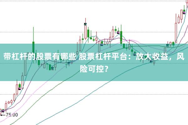 带杠杆的股票有哪些 股票杠杆平台：放大收益，风险可控？
