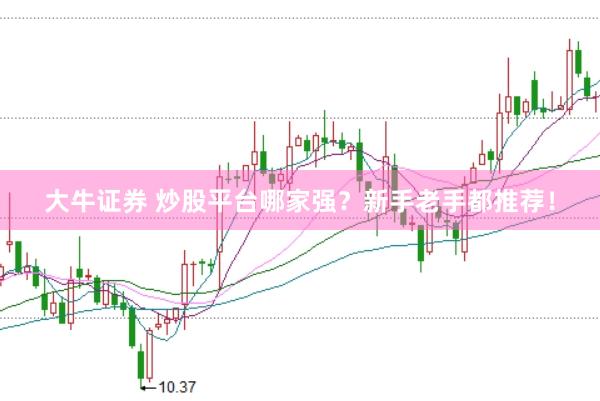 大牛证券 炒股平台哪家强？新手老手都推荐！