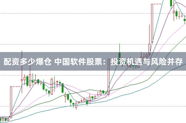 配资多少爆仓 中国软件股票：投资机遇与风险并存