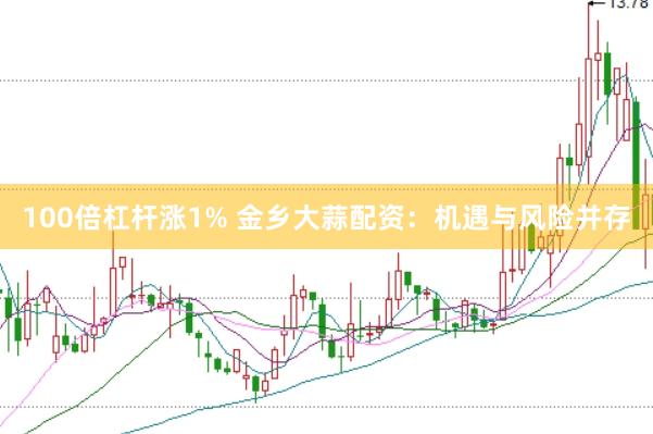 100倍杠杆涨1% 金乡大蒜配资：机遇与风险并存