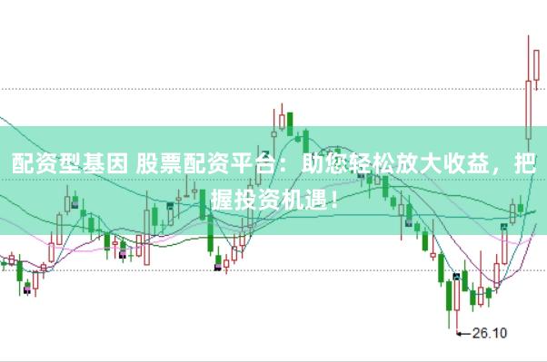 配资型基因 股票配资平台：助您轻松放大收益，把握投资机遇！