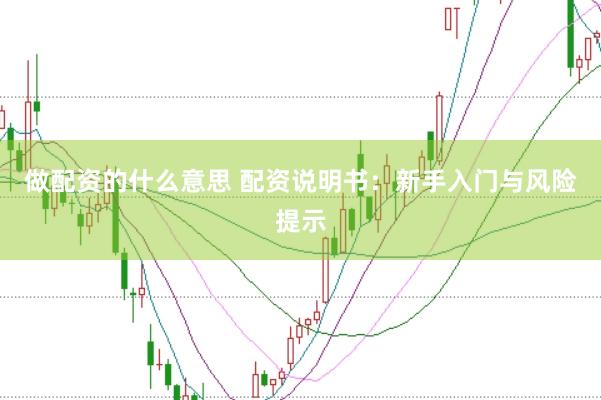 做配资的什么意思 配资说明书：新手入门与风险提示