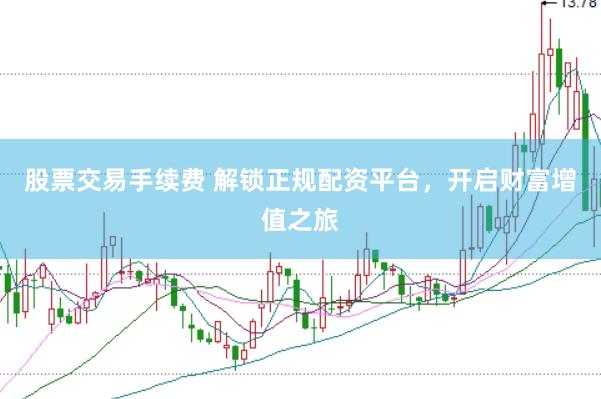 股票交易手续费 解锁正规配资平台，开启财富增值之旅