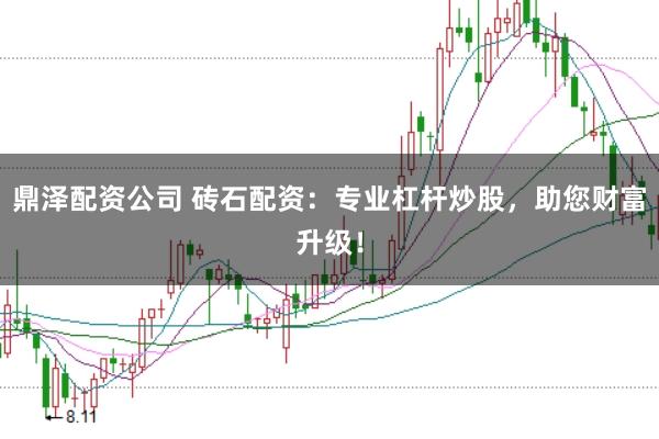 鼎泽配资公司 砖石配资：专业杠杆炒股，助您财富升级！