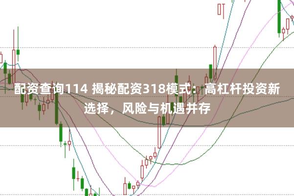 配资查询114 揭秘配资318模式：高杠杆投资新选择，风险与机遇并存