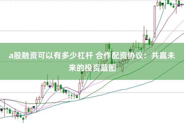 a股融资可以有多少杠杆 合作配资协议：共赢未来的投资蓝图