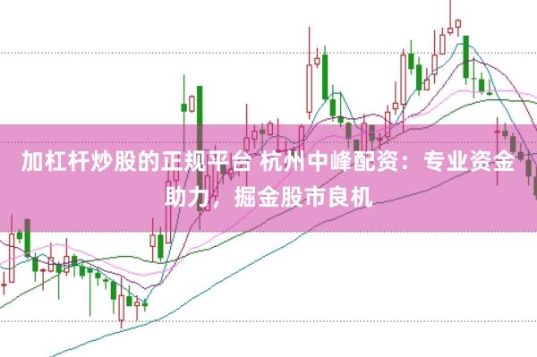 加杠杆炒股的正规平台 杭州中峰配资：专业资金助力，掘金股市良机