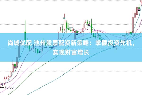 尚城优配 池州股票配资新策略：掌握投资先机，实现财富增长