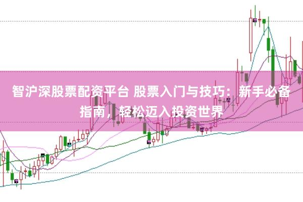 智沪深股票配资平台 股票入门与技巧：新手必备指南，轻松迈入投资世界