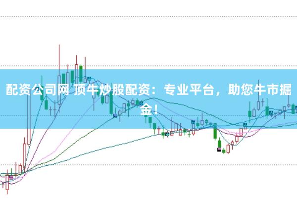 配资公司网 顶牛炒股配资：专业平台，助您牛市掘金！