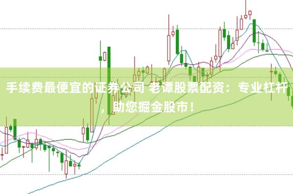 手续费最便宜的证券公司 老谭股票配资：专业杠杆，助您掘金股市！