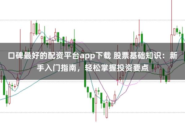 口碑最好的配资平台app下载 股票基础知识:新手入门指南,轻松掌握投资要点